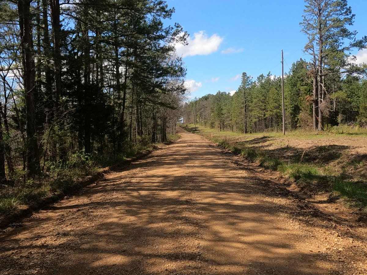 Grisham Road photo 2