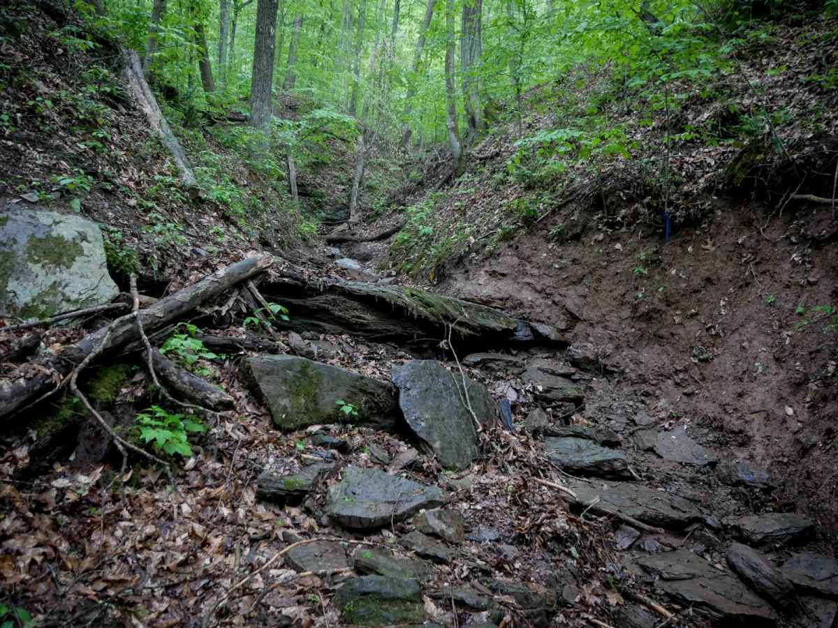 T93 trail photo
