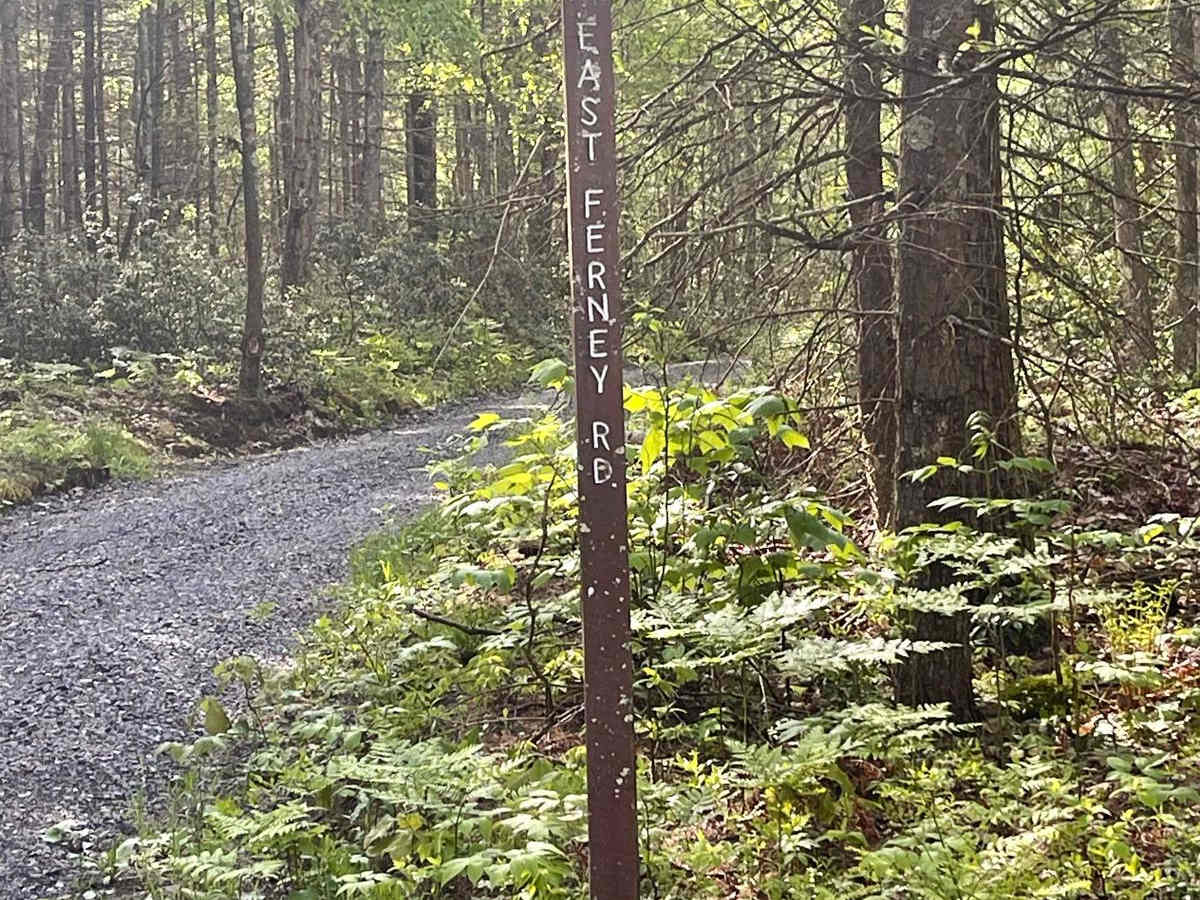 East Ferney Road trail photo