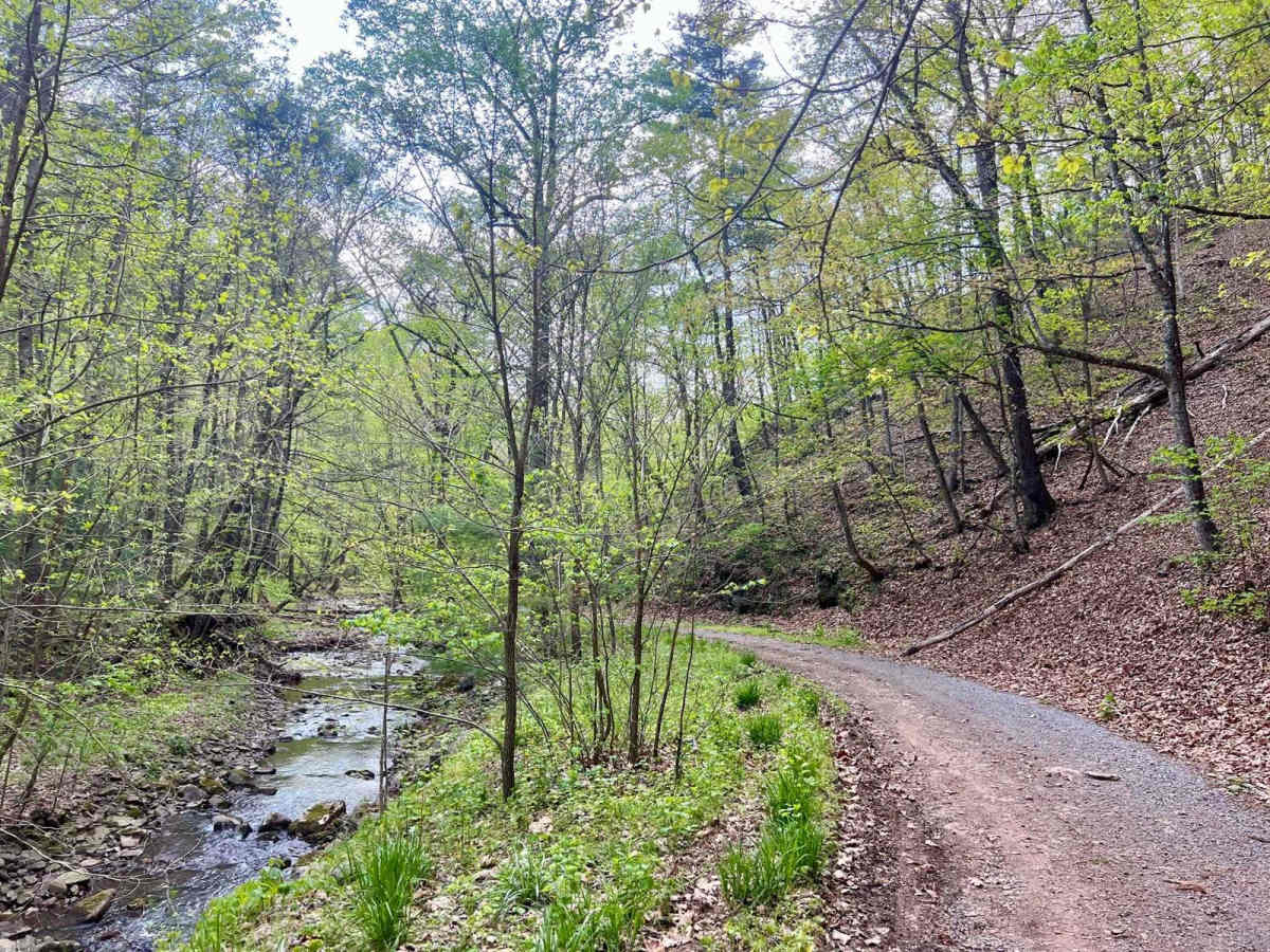 Fort Seybert Trail trail photo