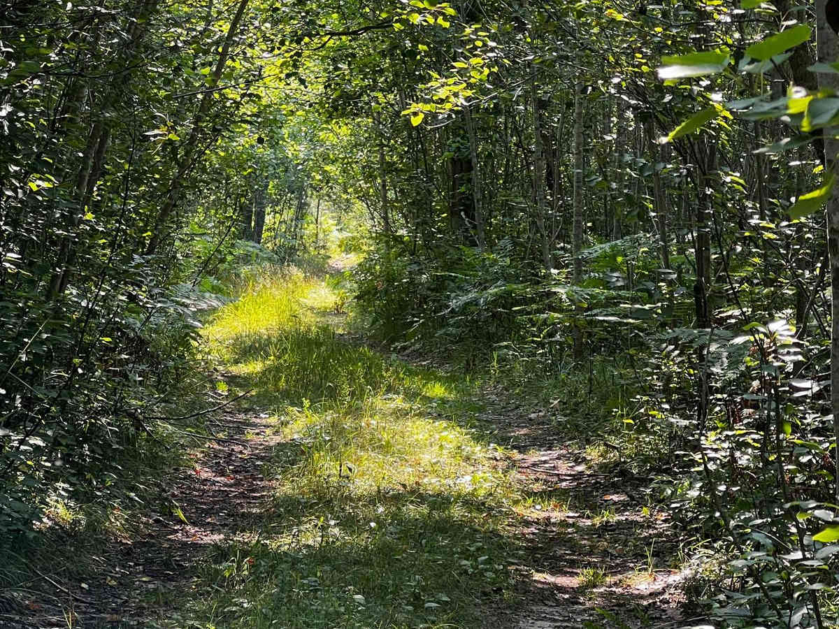 Tight Twiddler Trail trail photo
