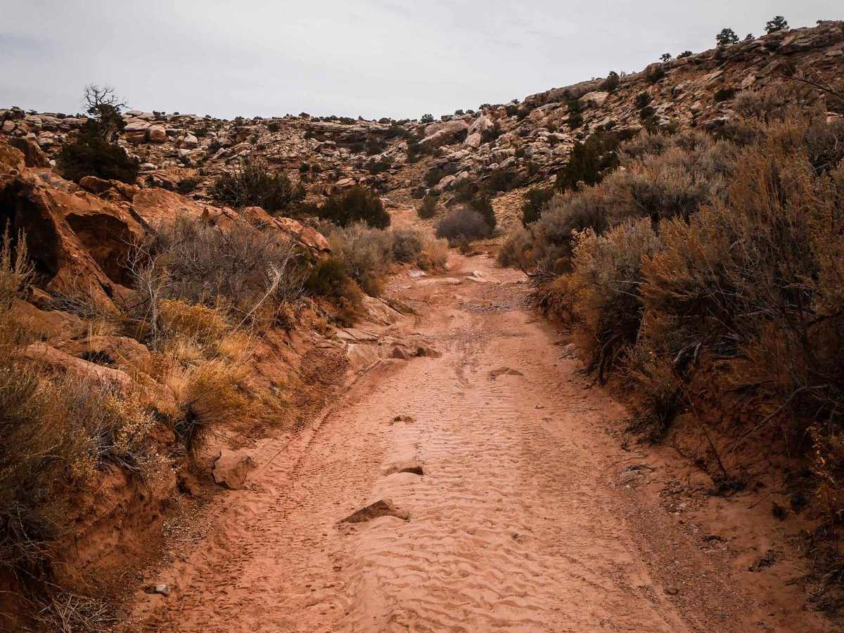 Klondike Bluffs Trail photo 5