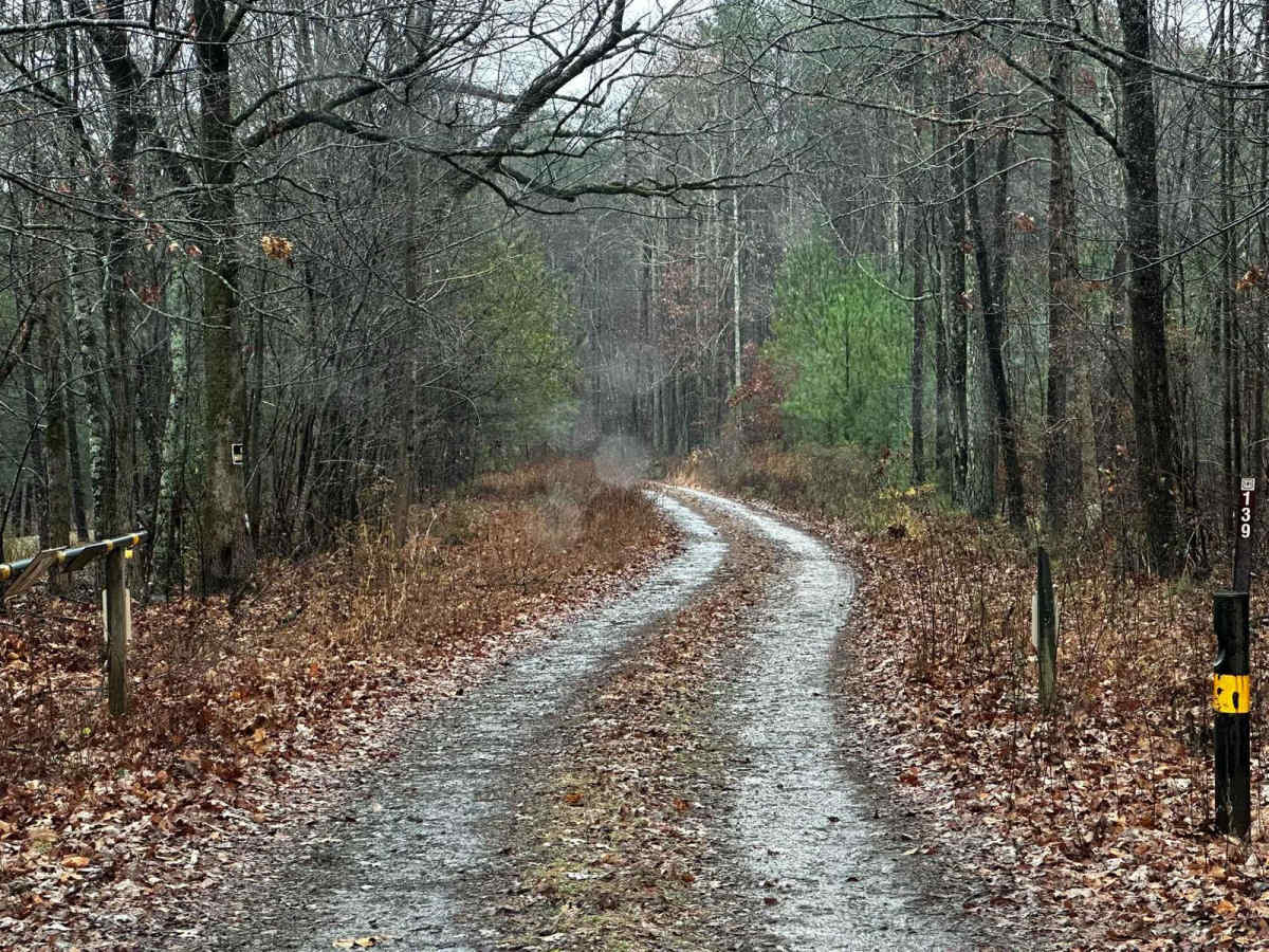 Black Mountain Road - FSR 139 trail photo
