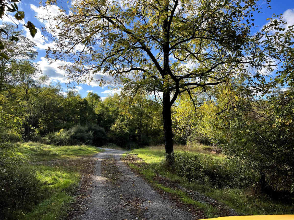 Riser Road photo 6