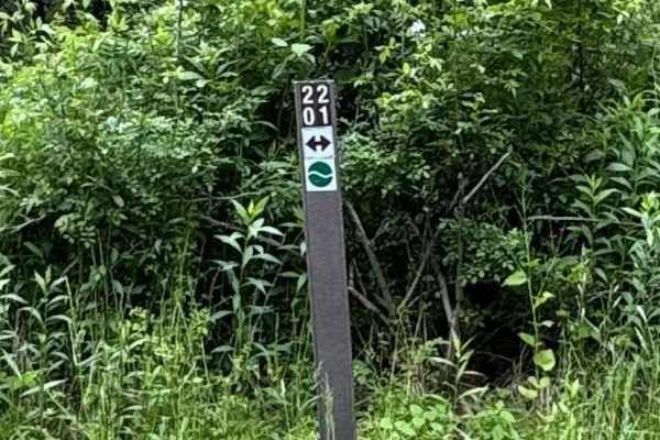 2201 Green