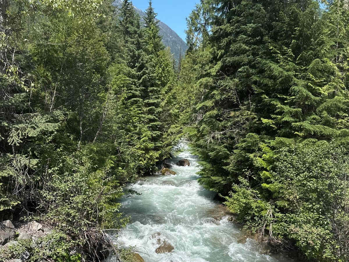 Glacier Creek FSR photo 5