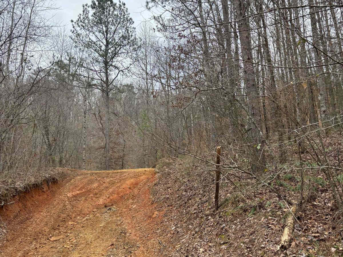 406C trail photo