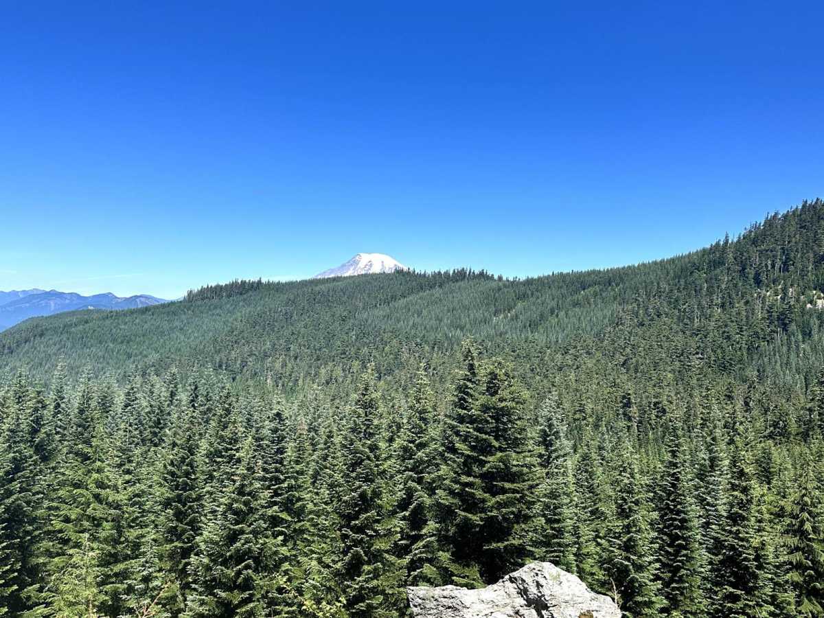 Snyder Mountain Trail photo 6