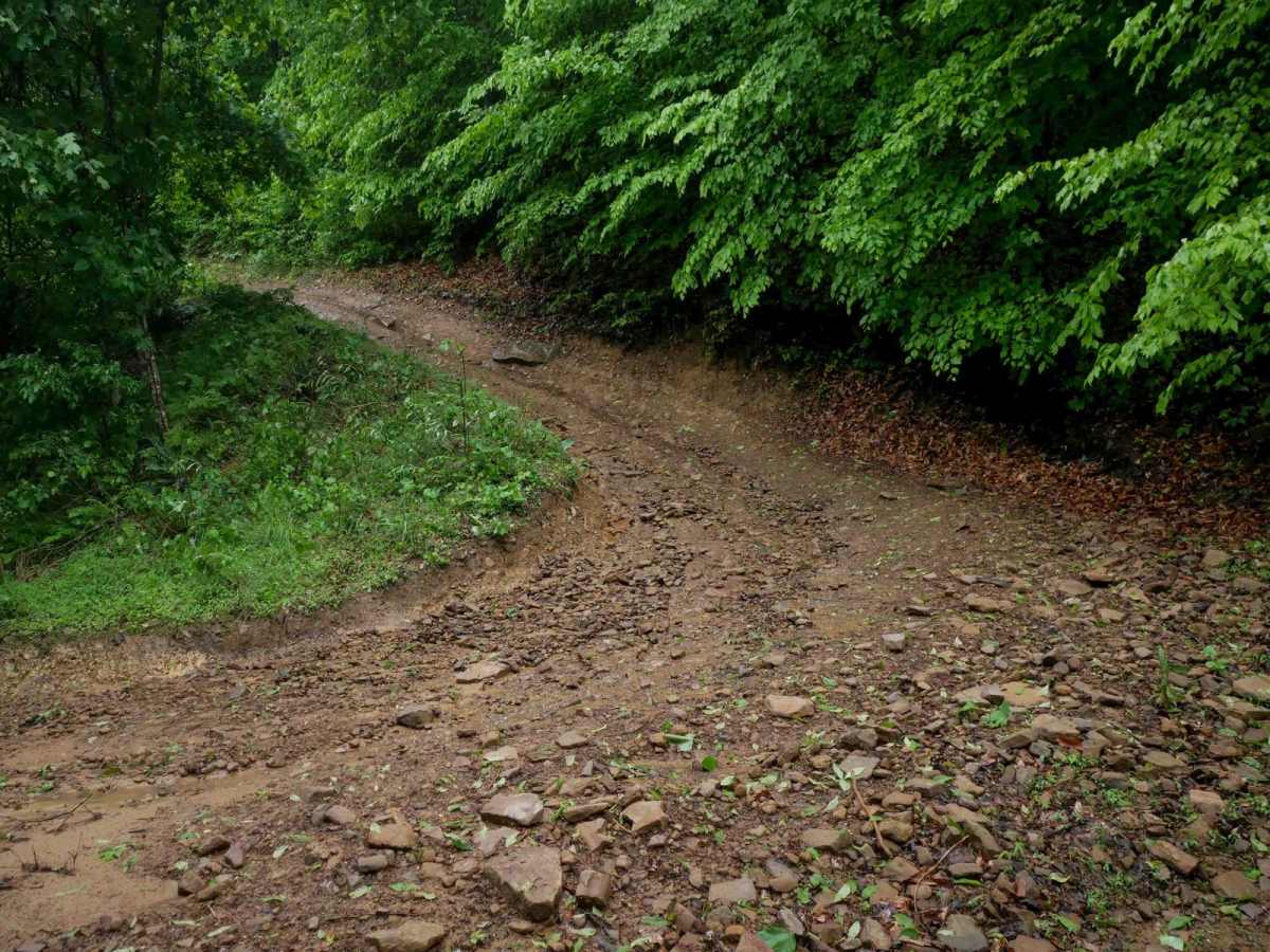 CC13 trail photo