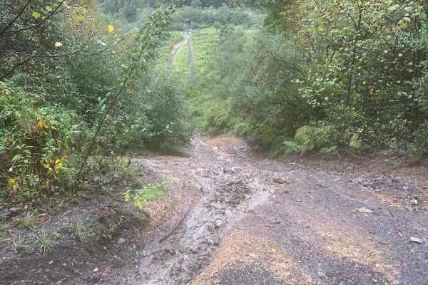 Black Hillclimb
