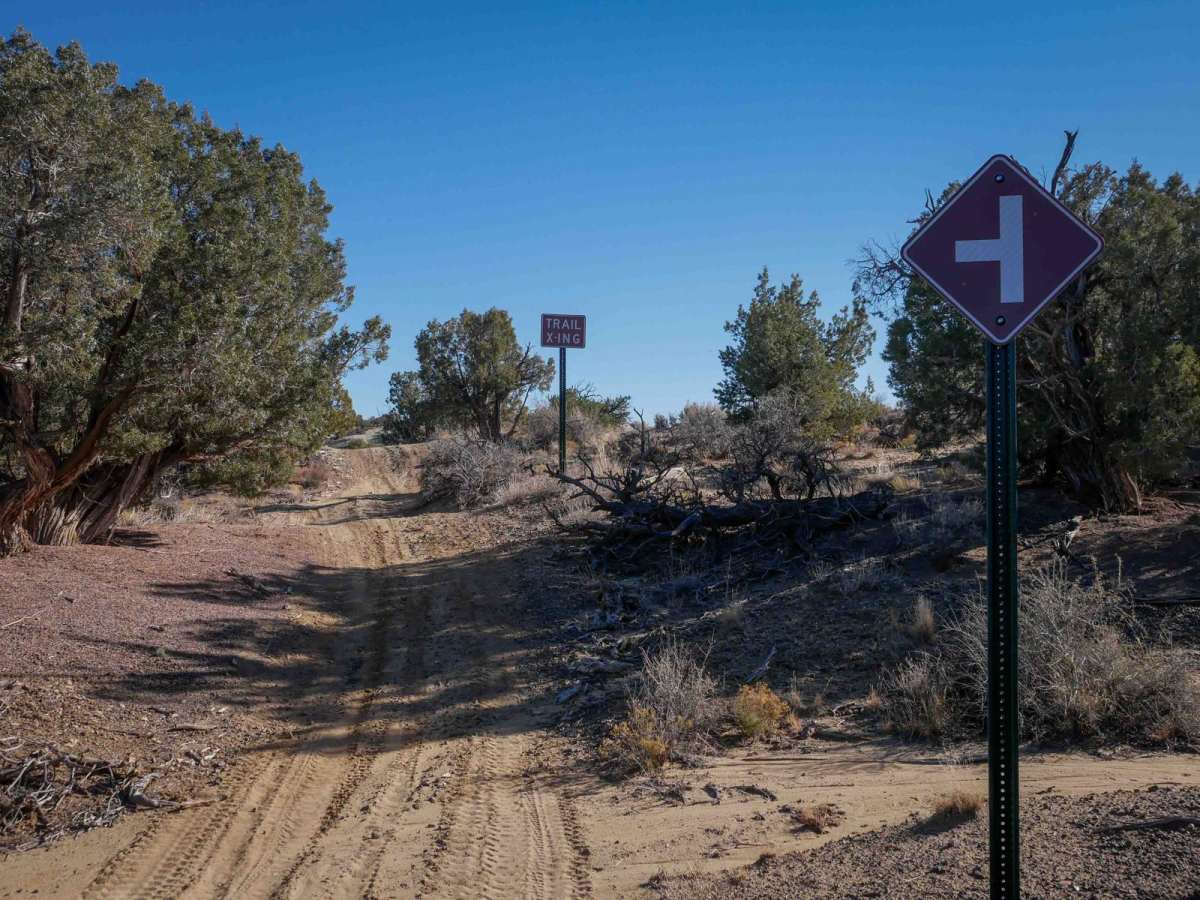 Arroyo ATV photo 3