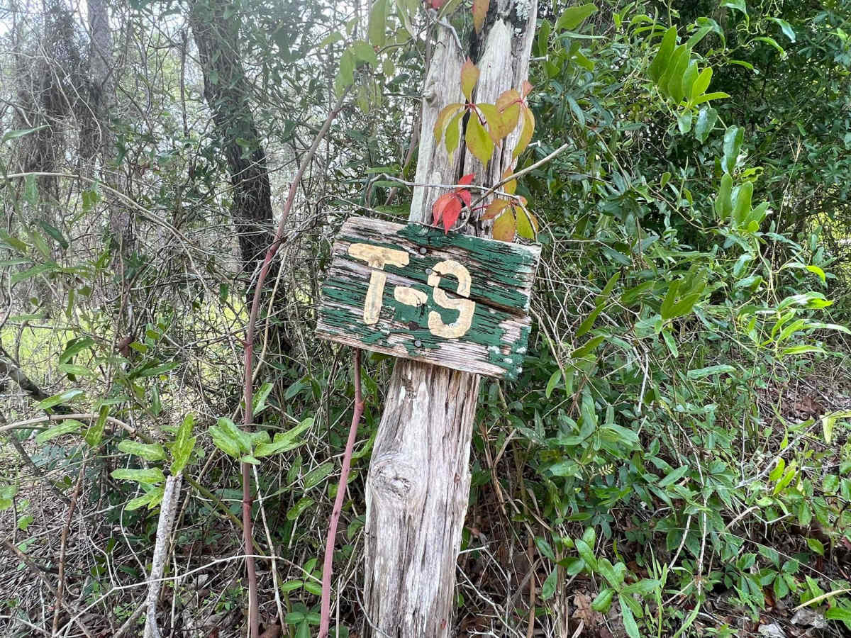 Crooms Wildlife Management | Trail 9 trail photo