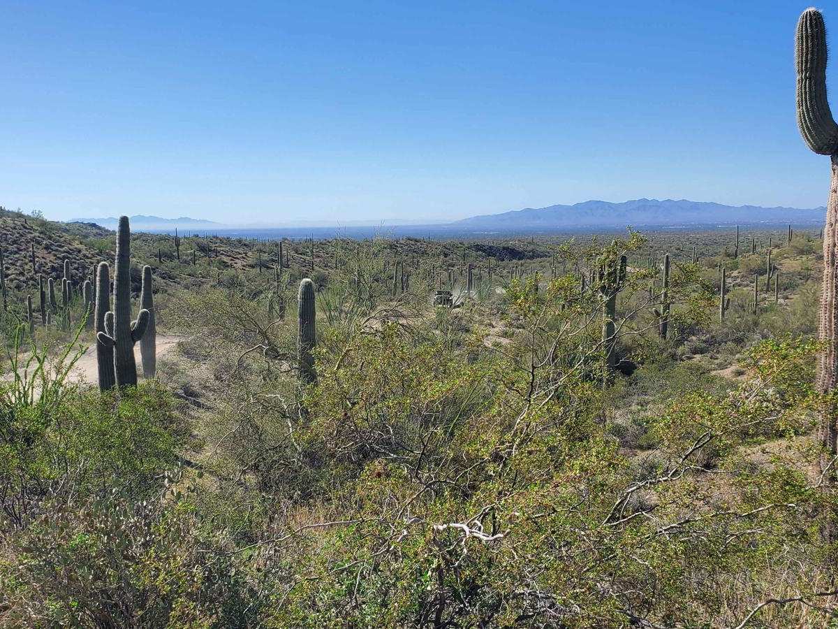 Hieroglyphic Mountain Loop photo 4