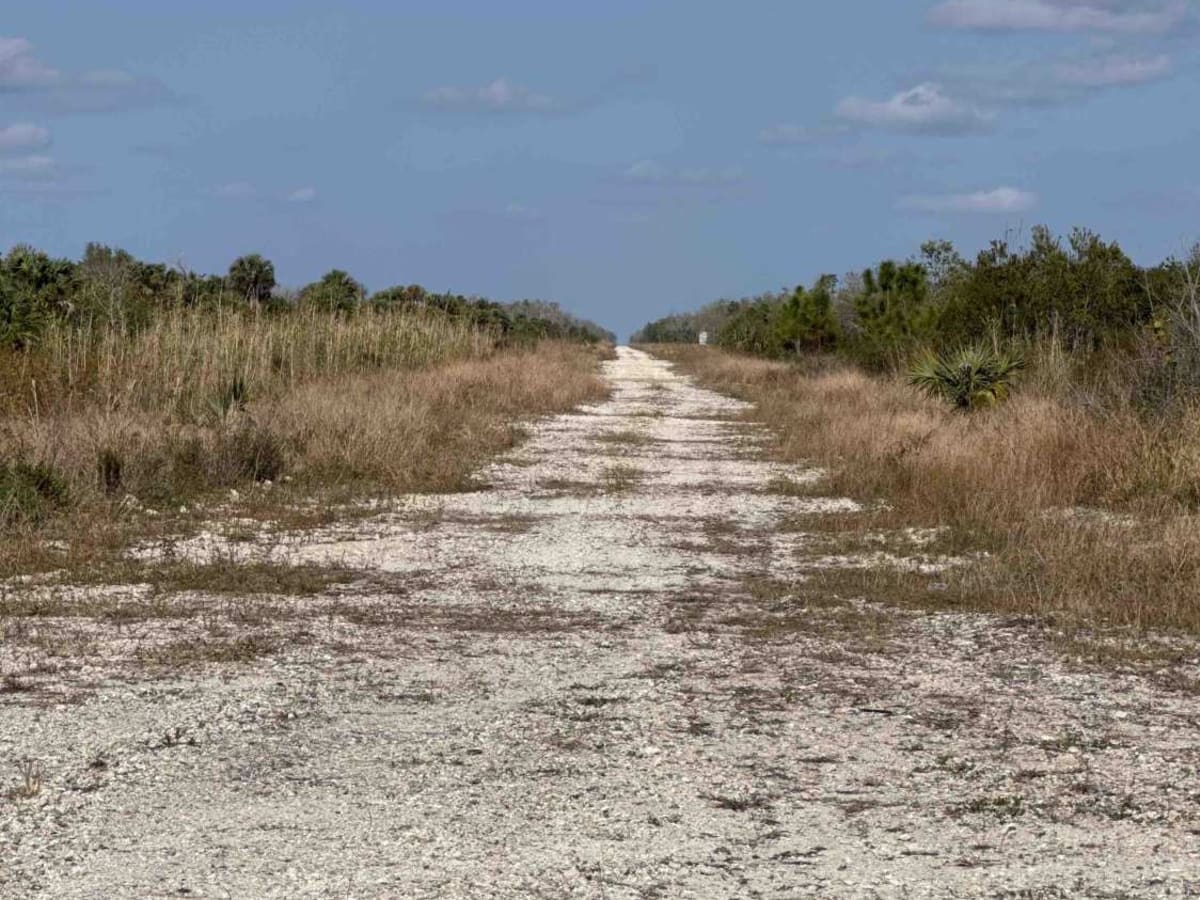 Miller Boulevard trail photo
