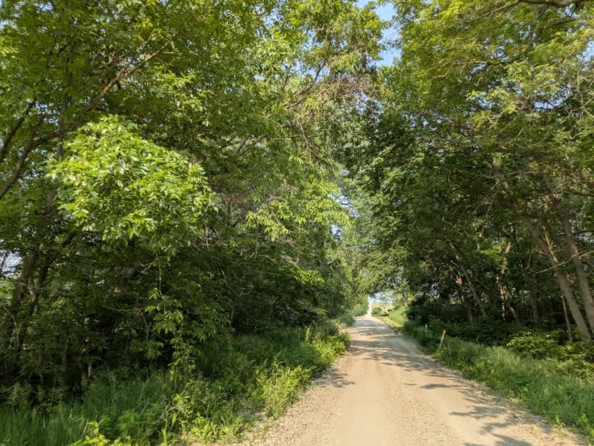 714 Road photo 6