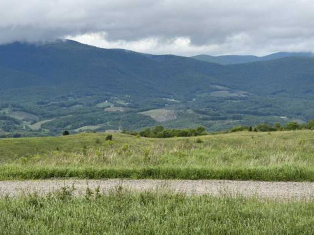 Pond Mountain Game Land Access Road photo 4