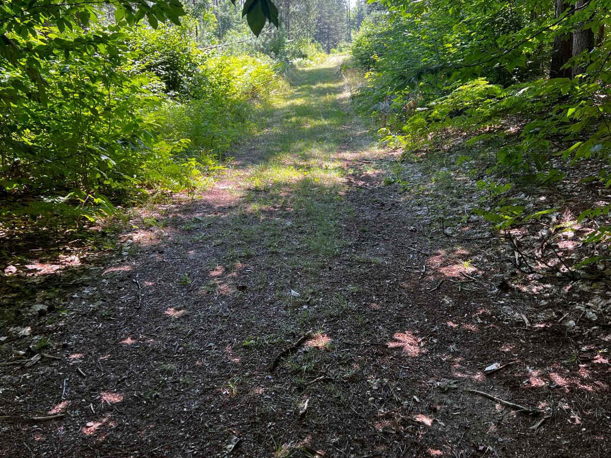 NFS 7441 photo 6