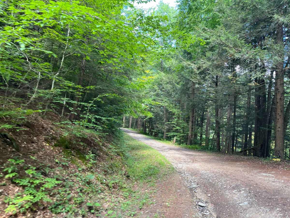 Carter Creek Road photo 4