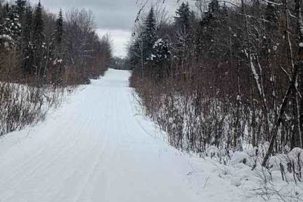 Little Owl Lake Trail