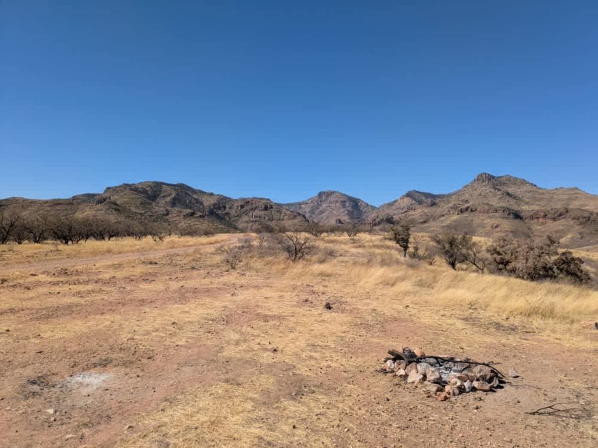 Wise Mesa - FR4151 photo 3