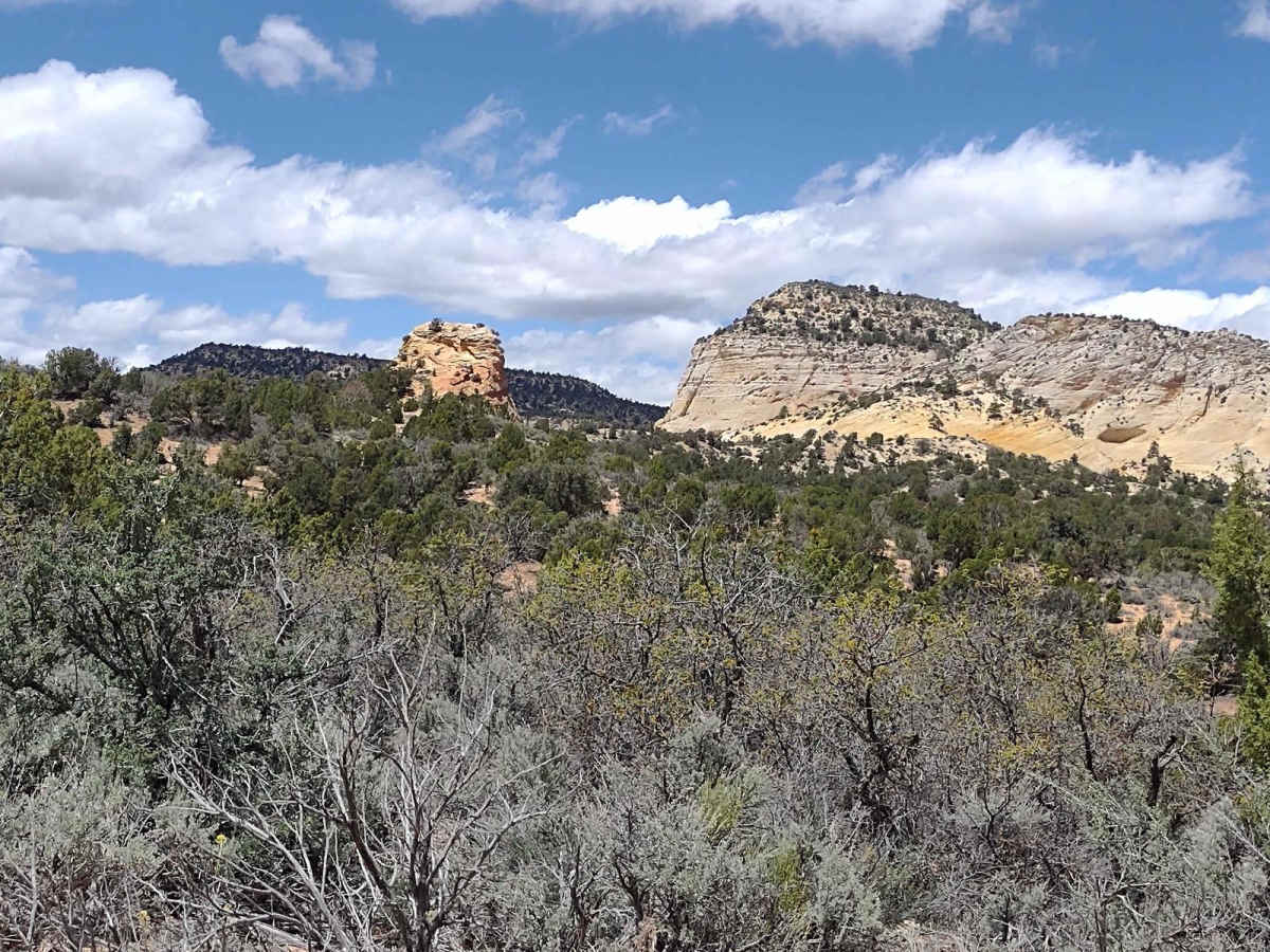 White Tower Trail trail photo