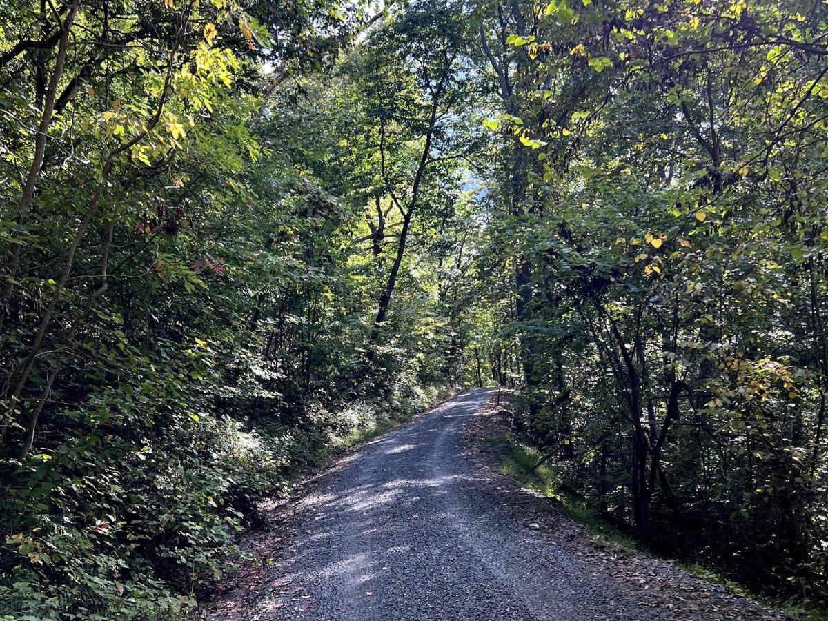 Riser Road photo 3