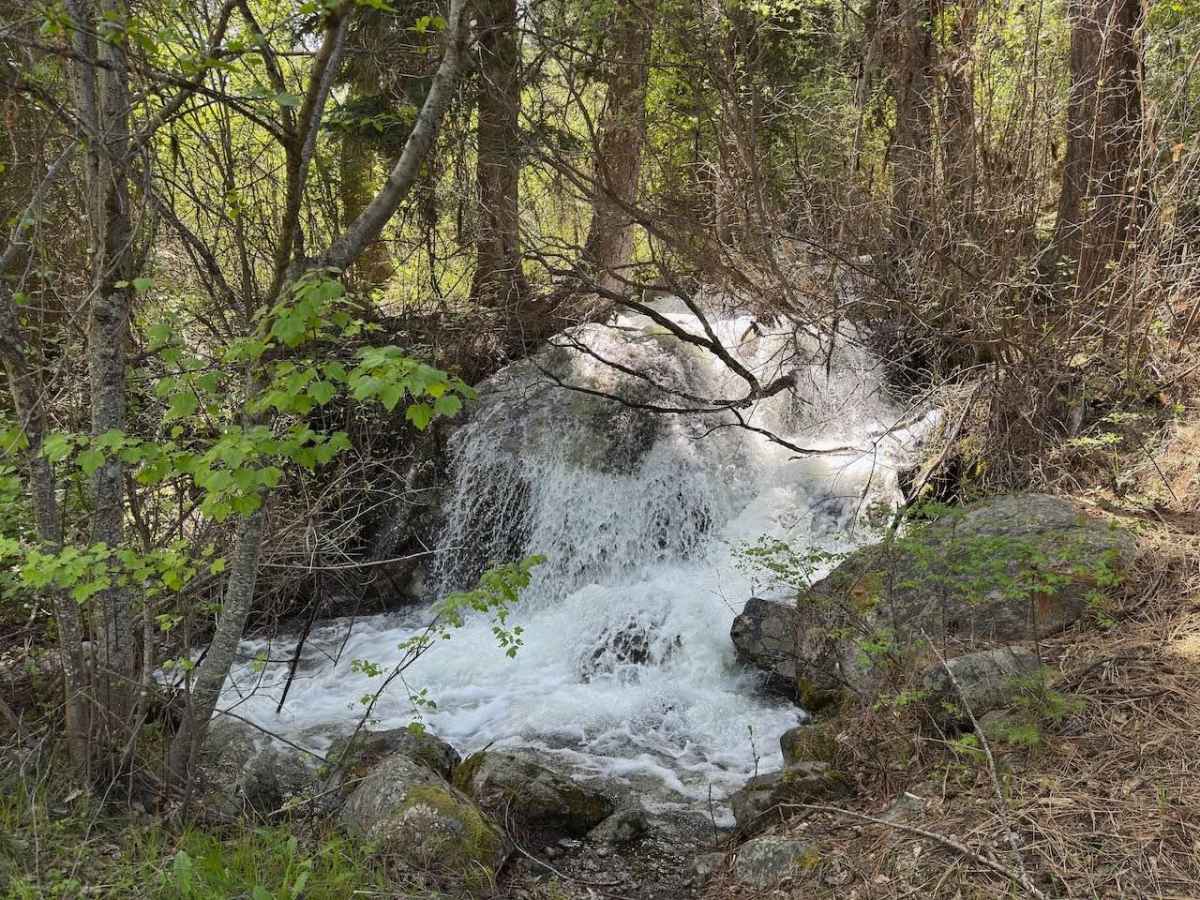 Pierce Creek trail photo