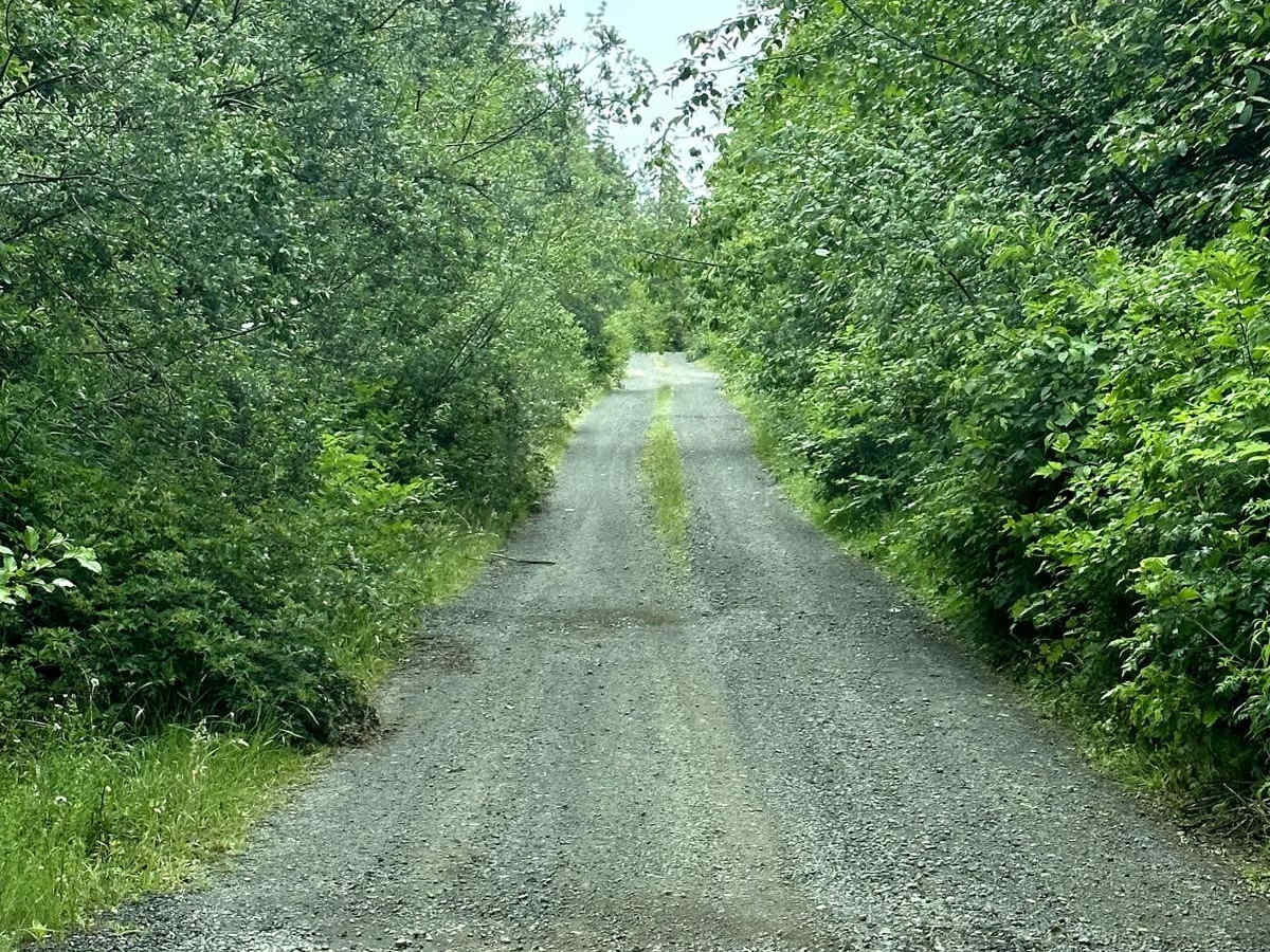 Newberry Creek Road photo 5