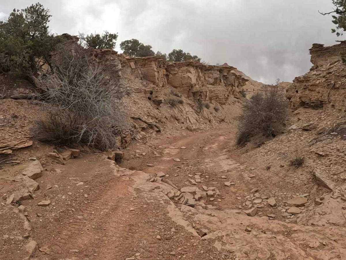 The Wickiup Loop photo 2