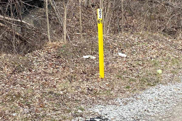 Trail 61 Windrock