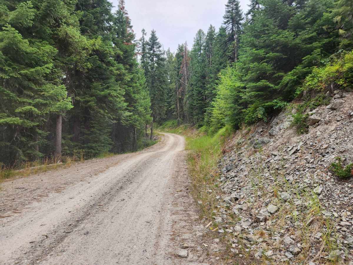 Eddy Peak Road photo 3