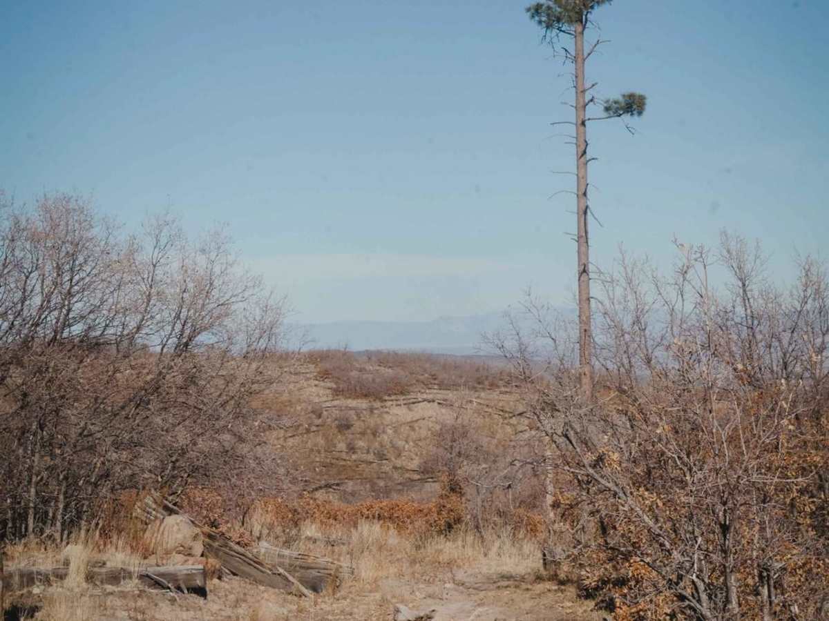 Alamitos Loop photo 5