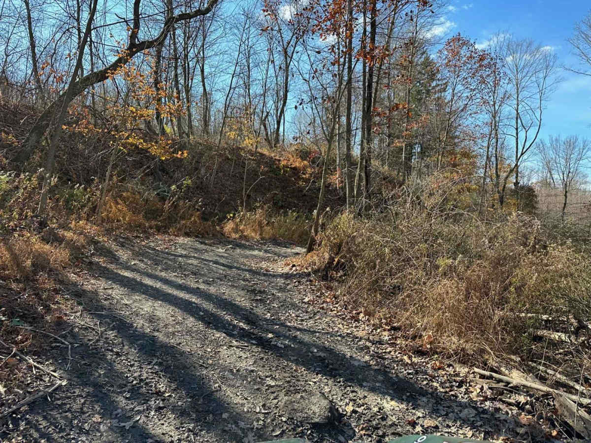 Ashland 167 photo 3