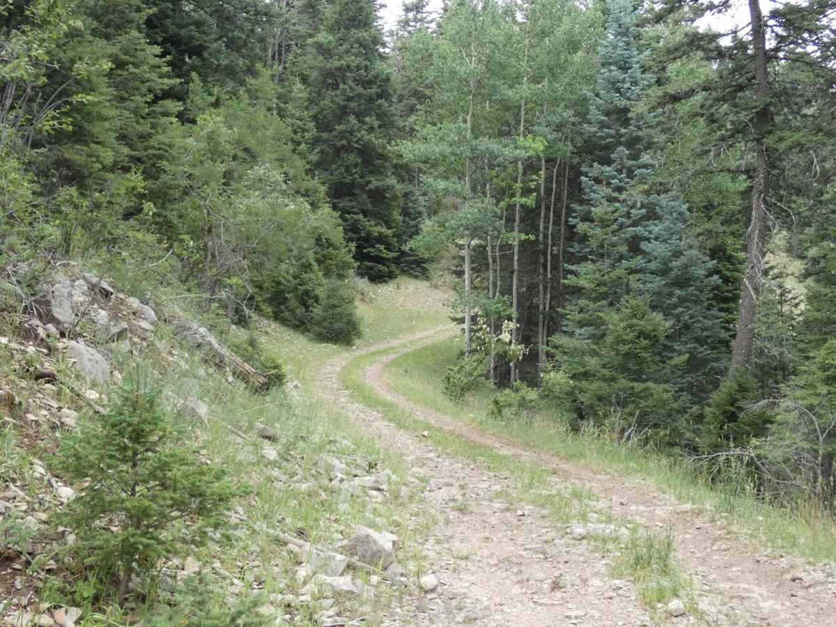 Wayne Canyon photo 6