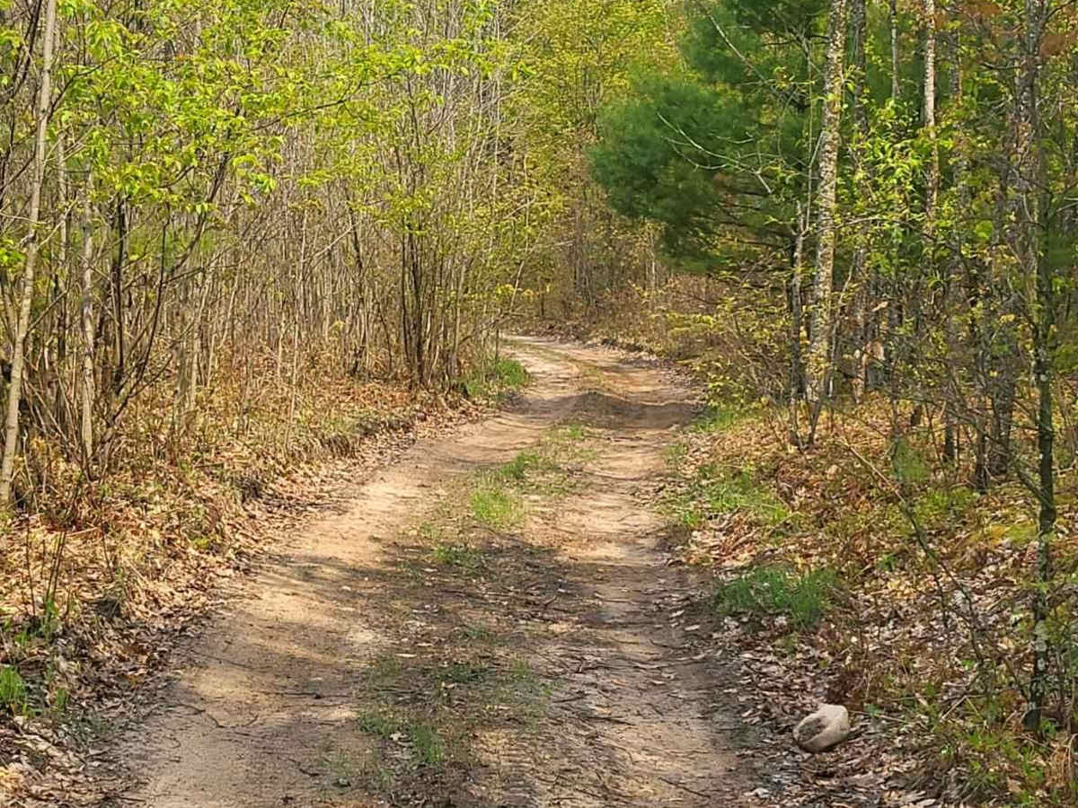 Mio ORV Route - East photo 5