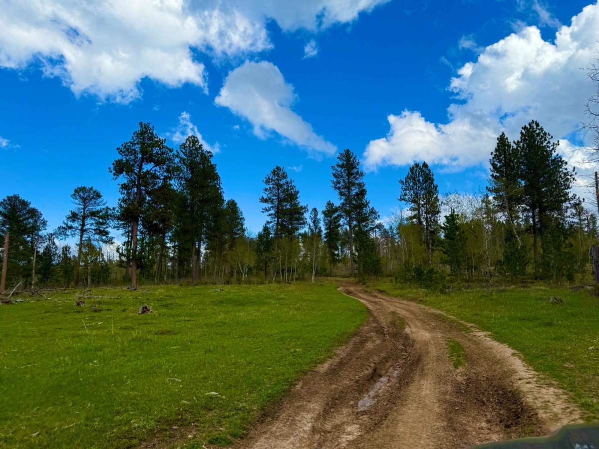 FS 301.1R trail photo