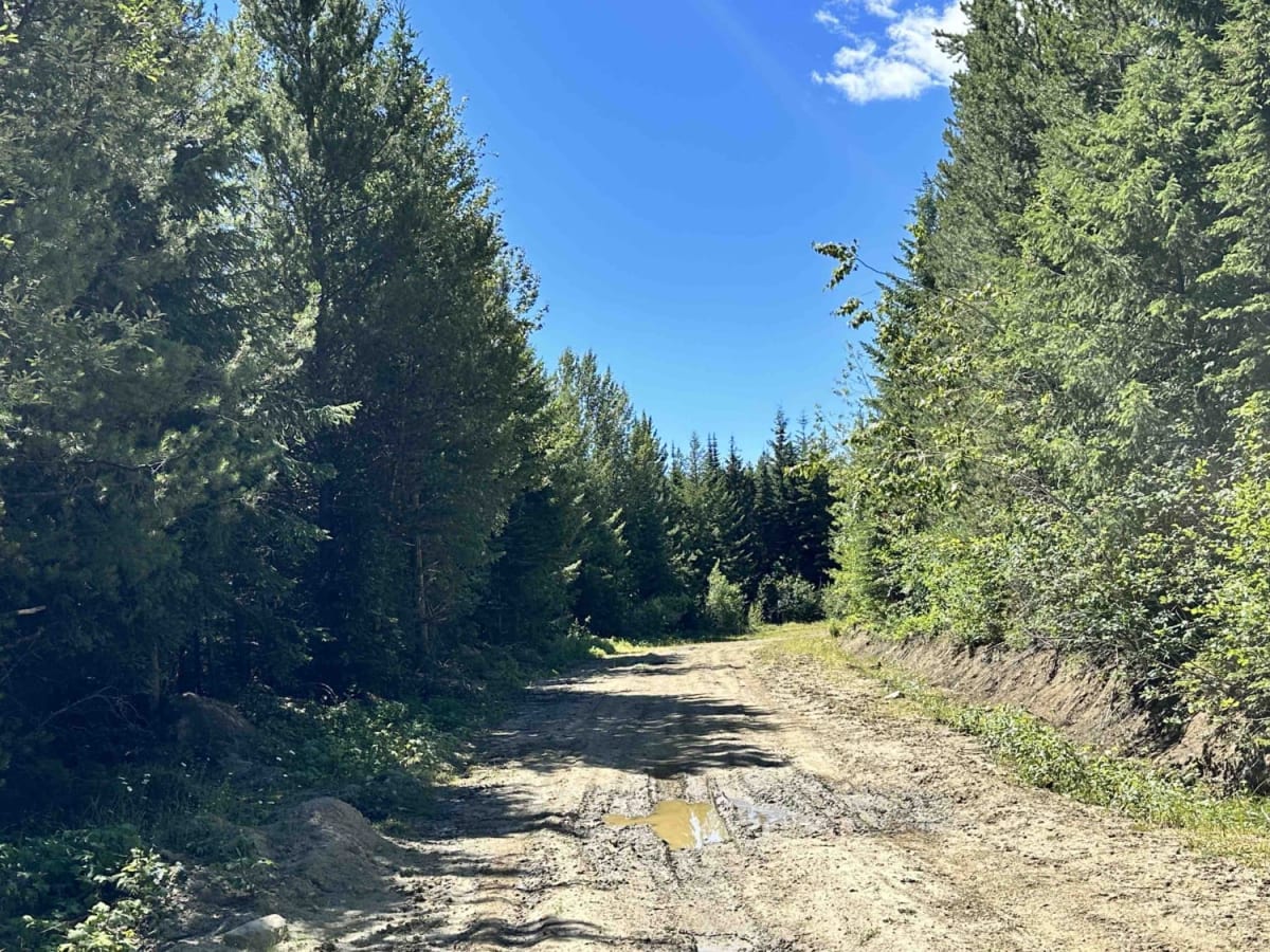 Bonneau FSR photo 2