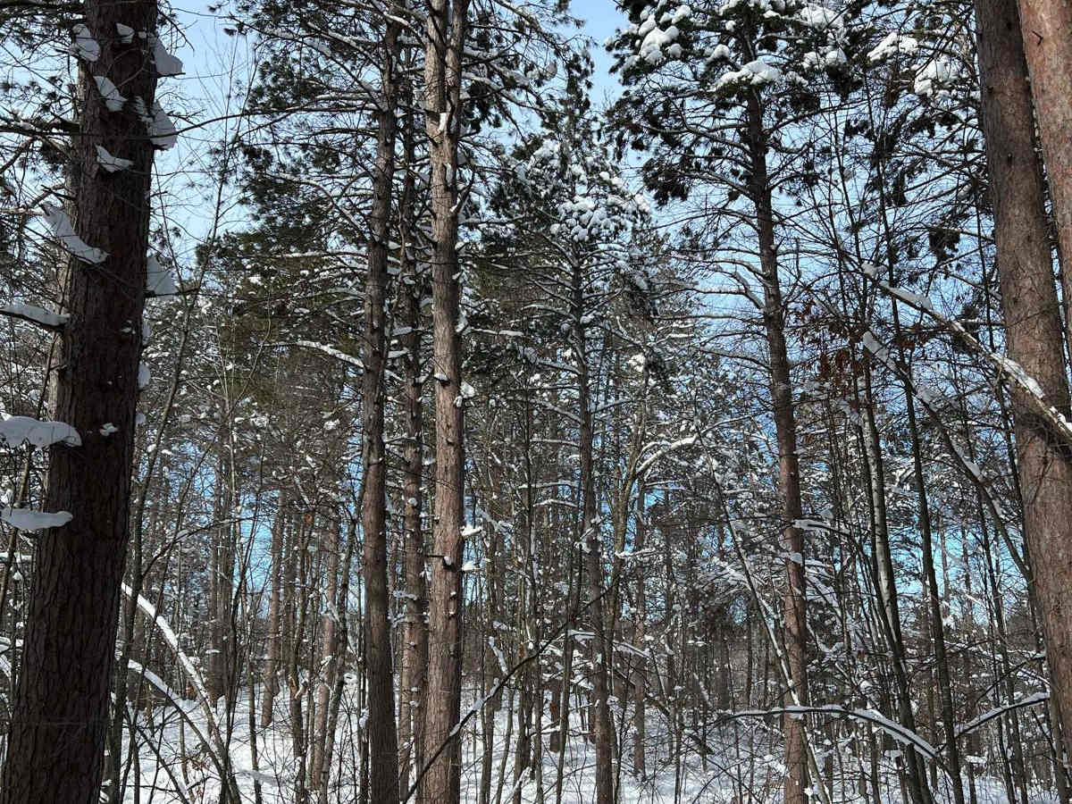 Spider Lake photo 5