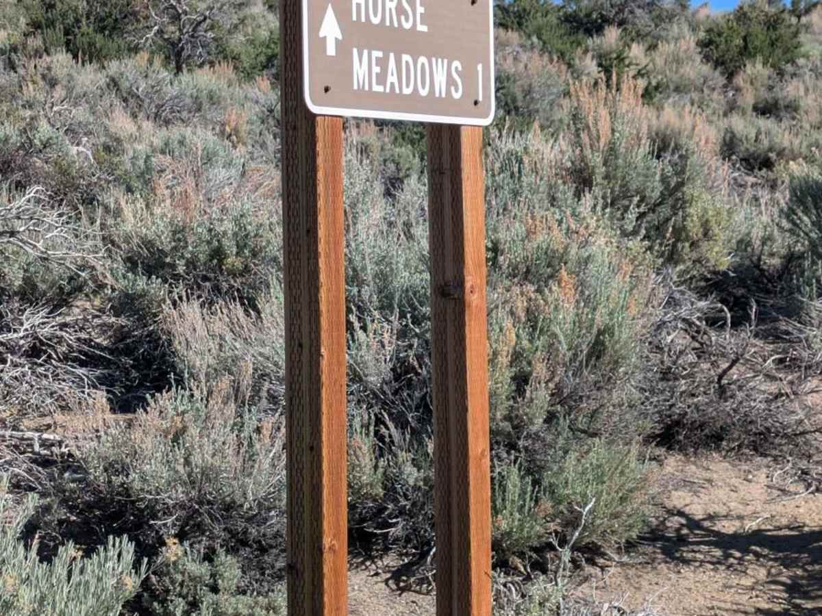Horse Meadows photo 3