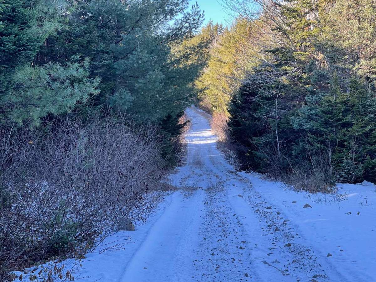 Quack Lake Road photo 3