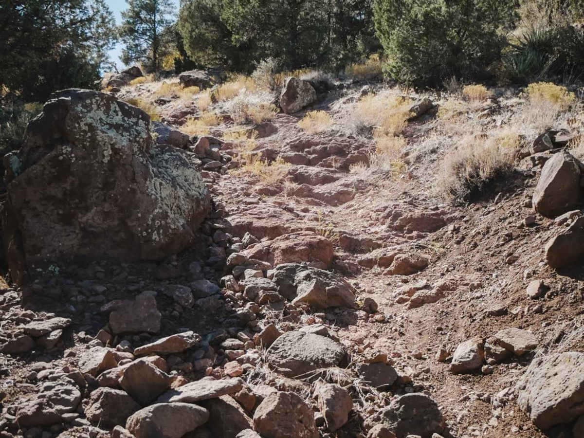Tomkins #513 trail photo