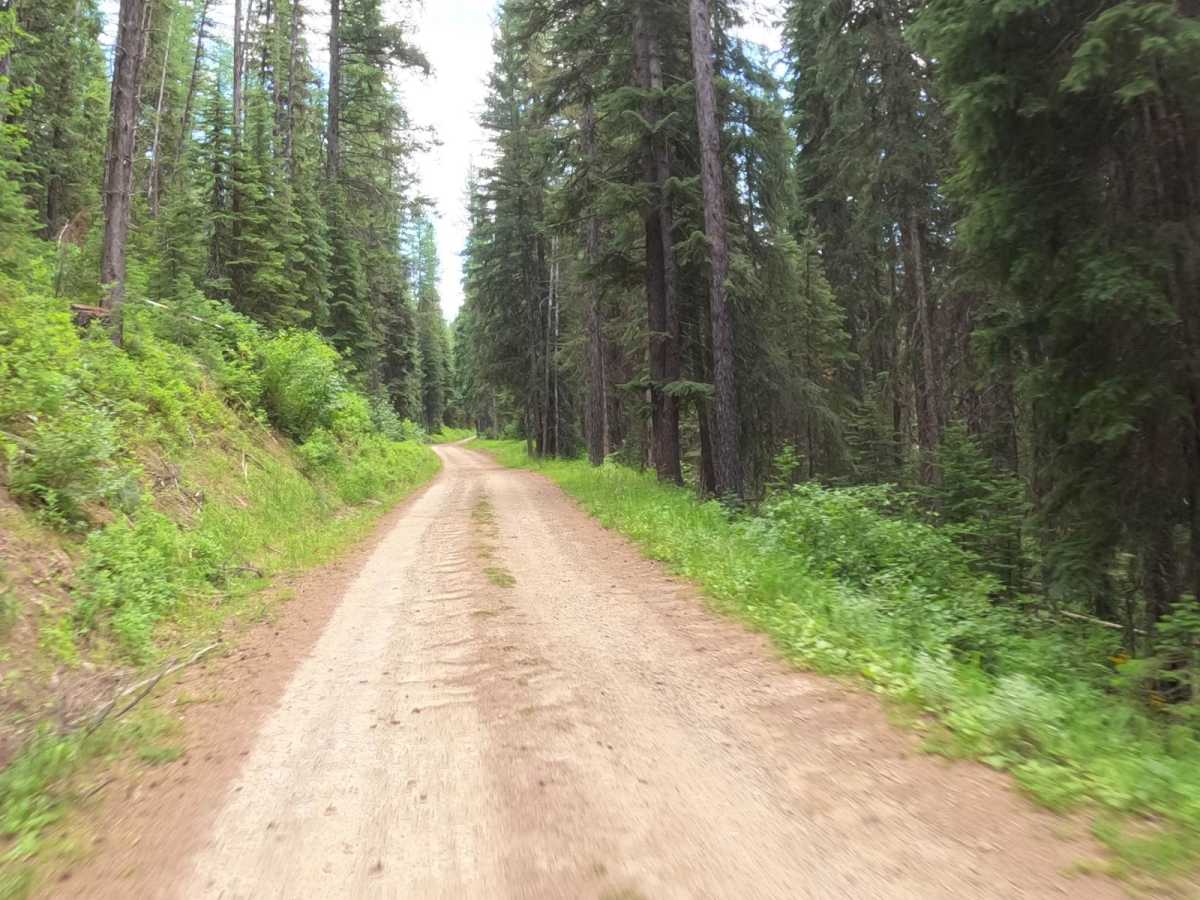 Snowshoe Pass - FSR 488 photo 6
