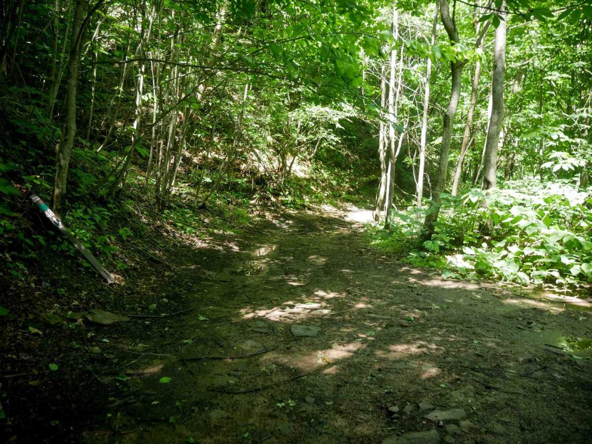 CC55 photo 2
