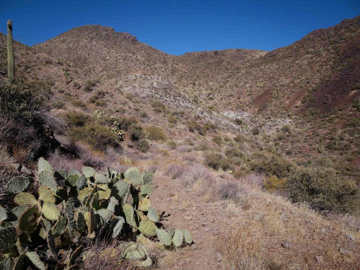 Big Reef Mill Singletrack photo 5