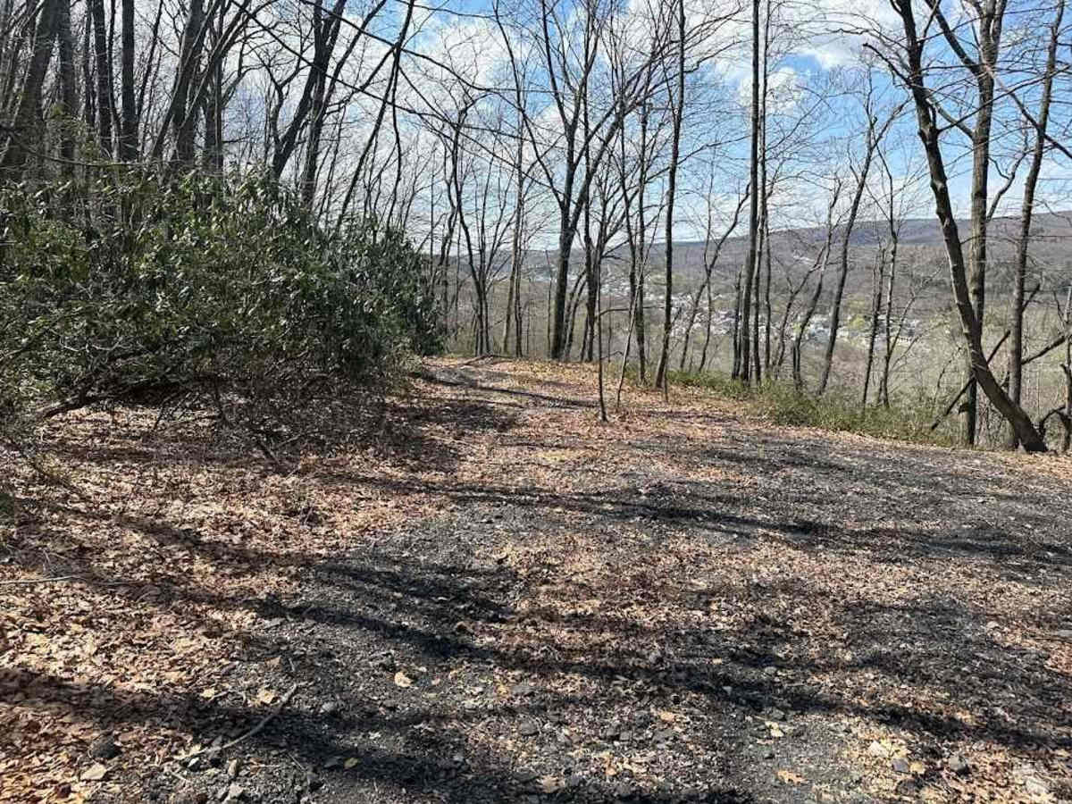 Ashland 125 photo 3