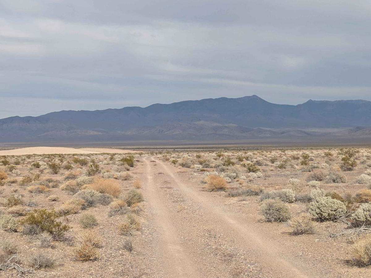 BLM 927827 photo 6