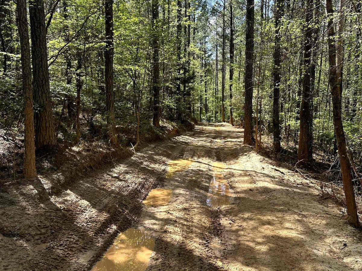 Trail 23 photo 2