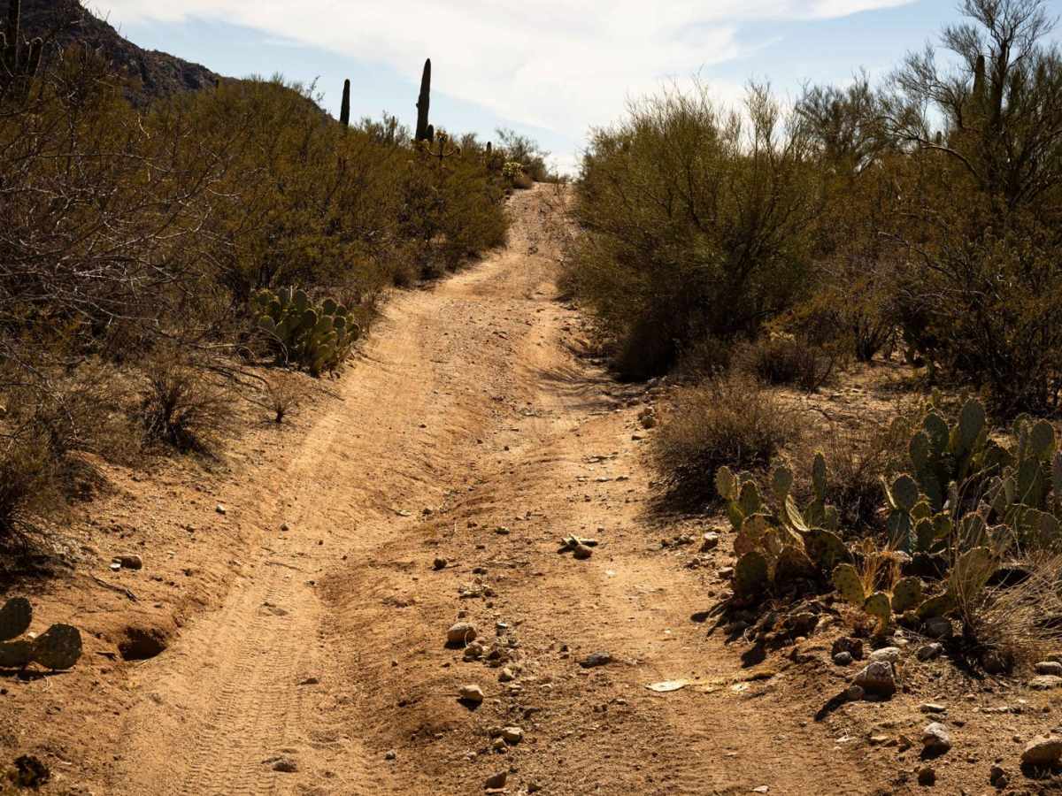 Ditch Trail photo 5