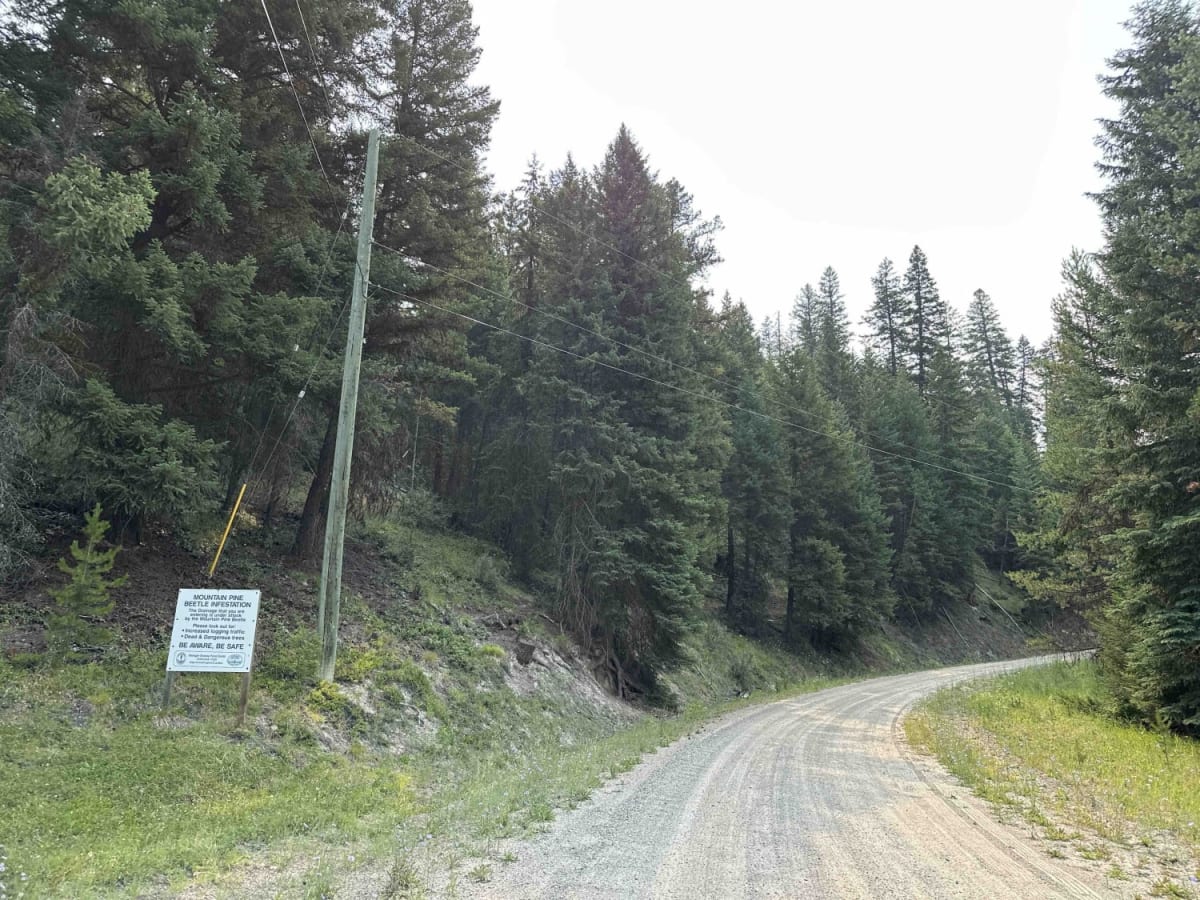 China Valley Road photo 2