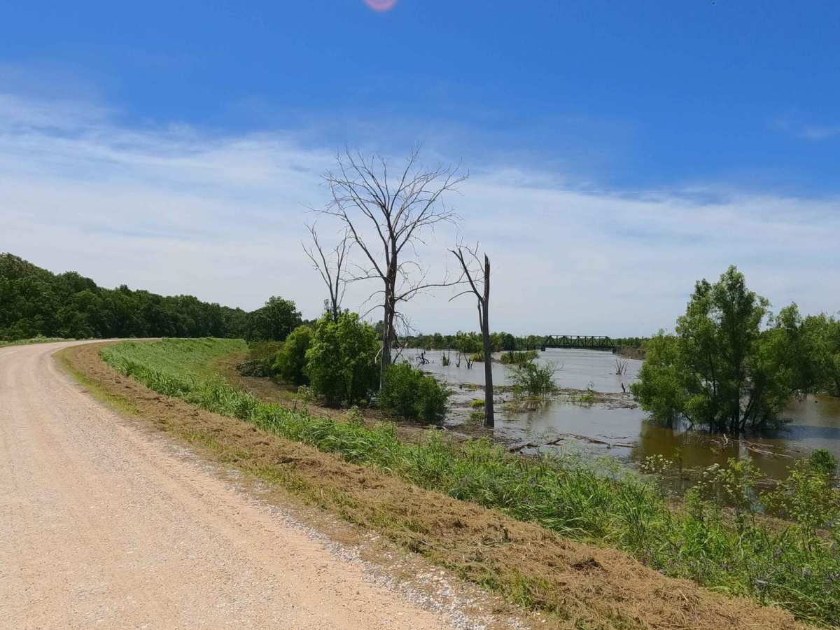 Muddy Levee Road photo 6
